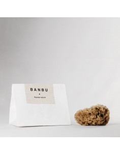 Esponja Natural del Mar Caribe - BANBU