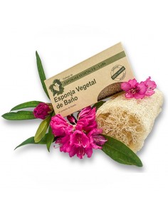 Esponja Vegetal Grande - 7,5x15cm