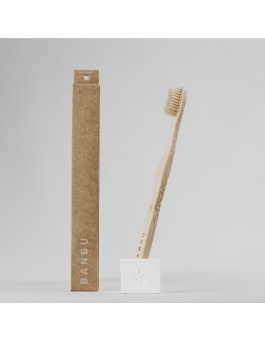 Cepillo de Dientes de Bambú Moso para...