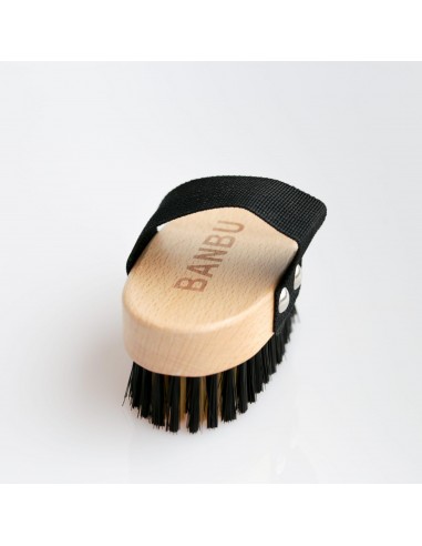 Cepillo para mascotas - Madera de Haya