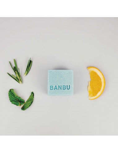 Gel de ducha sólido ´Nostalgia´ - HERBAL