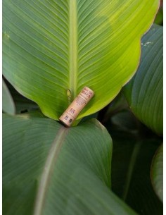 Protector Labial SPF15 Sol de Ibiza 