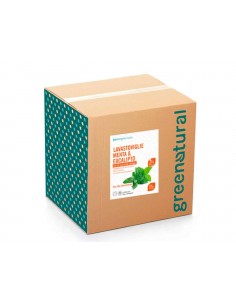 Lavavajillas a máquina - Menta y Eucalipto - GRANEL 1 Litro