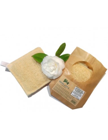 Esponja Cuadrada Vegetal