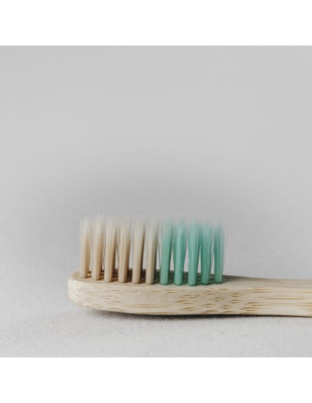 Cepillo de Dientes de Bambú Moso para adultos - Suave - Verde